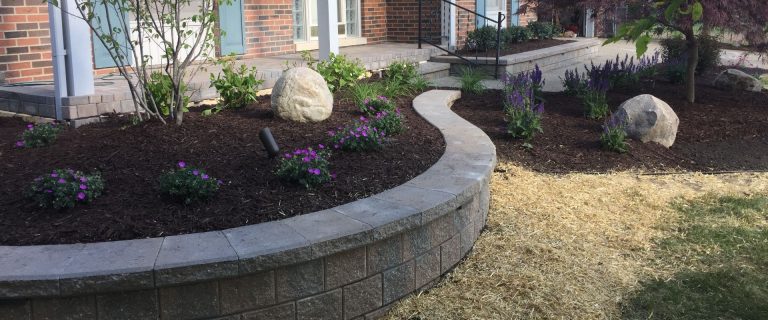 Popular Softscape Landscaping Ideas